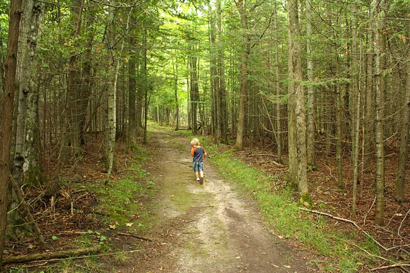 fayette state park hiking trails